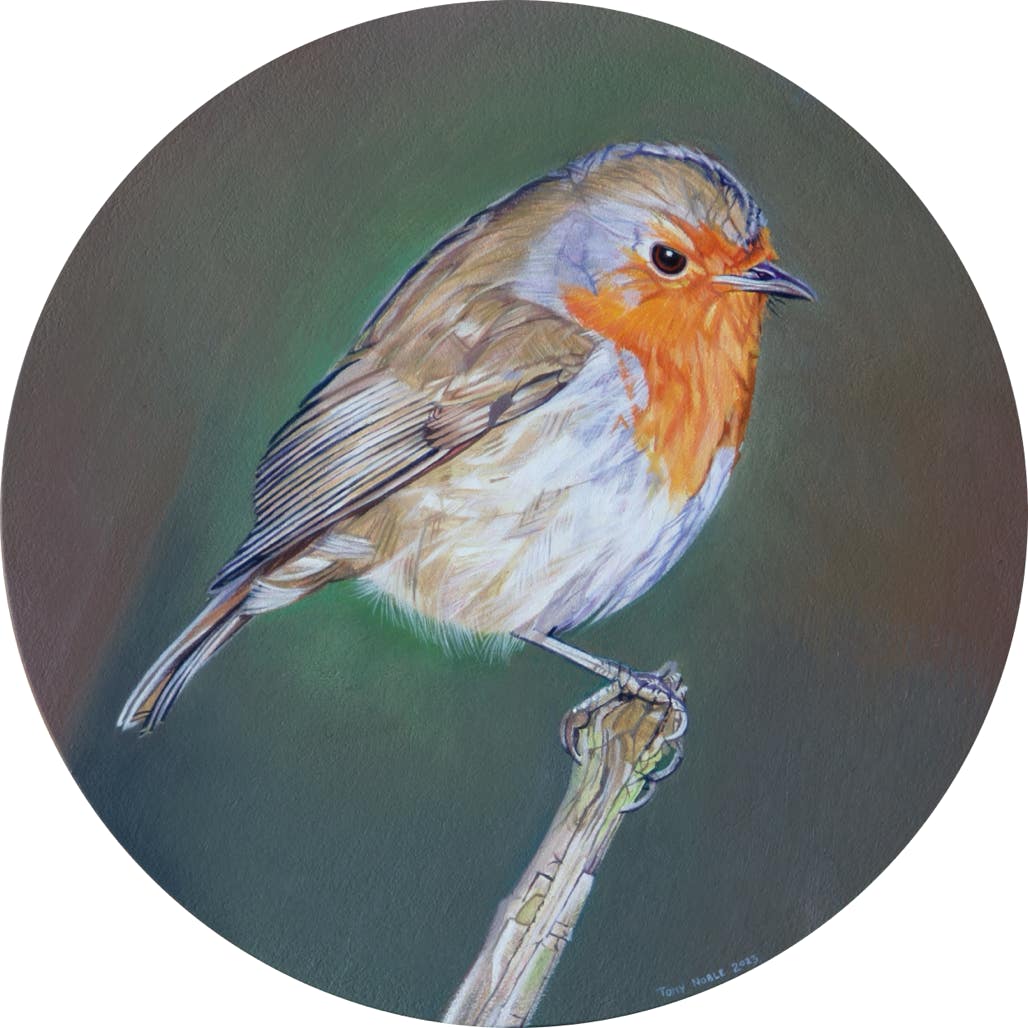 Round robin #3