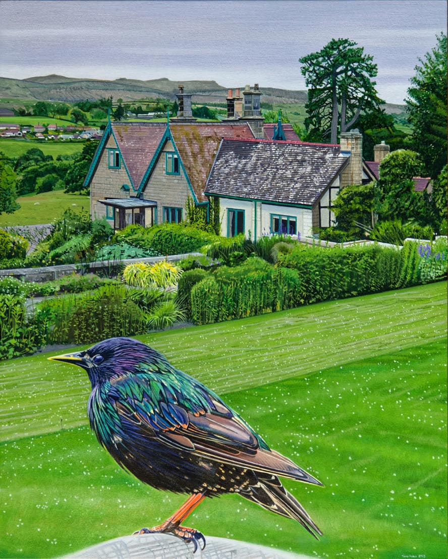 Cragside starling