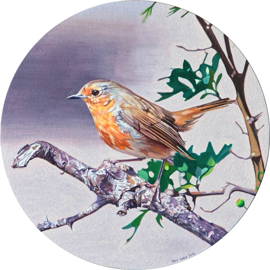 Round robin #2